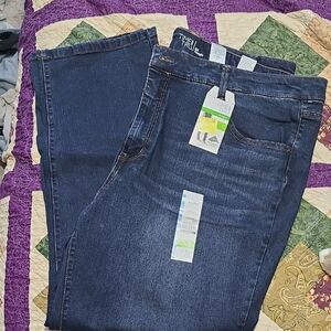 Time and Tru Indigo Denim Pants